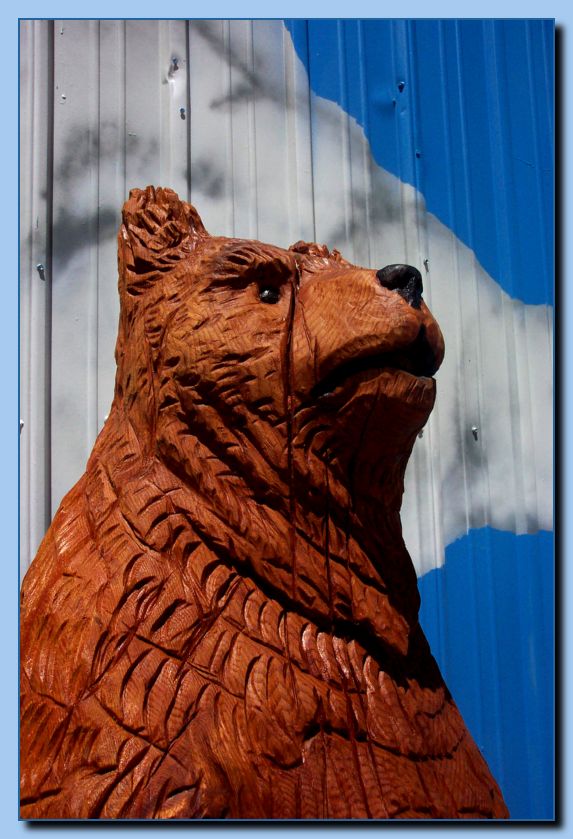 2-01 bear-archive-0003